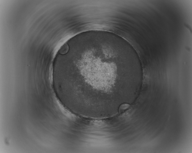 X0000103471128200809261858