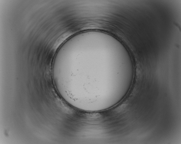 X0000103471129200809261858