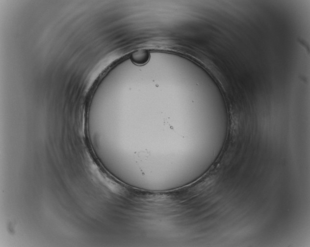 X0000103471131200809261858