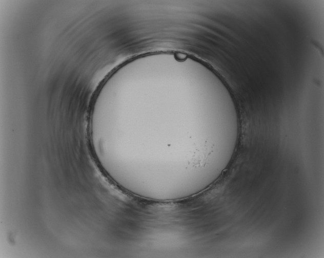 X0000103471134200809261858