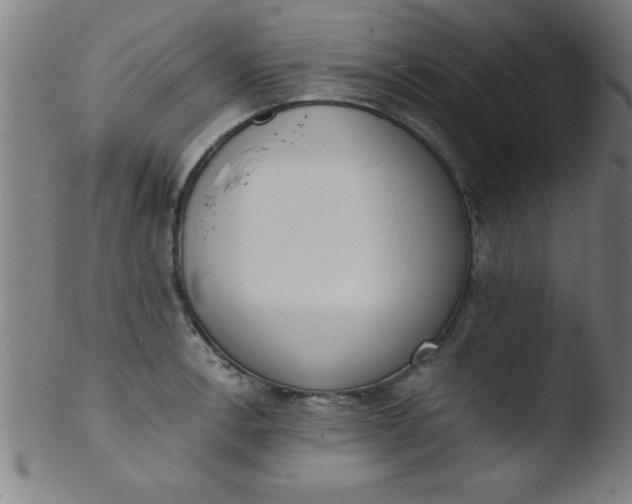 X0000103471138200809261858