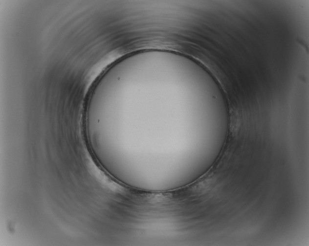 X0000103471139200809261858