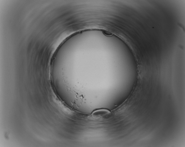 X0000103471140200809261858