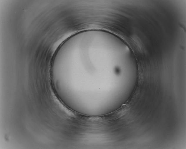 X0000103471142200809261858