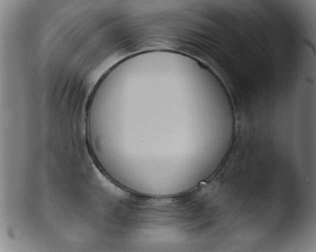 X0000103471143200809261858