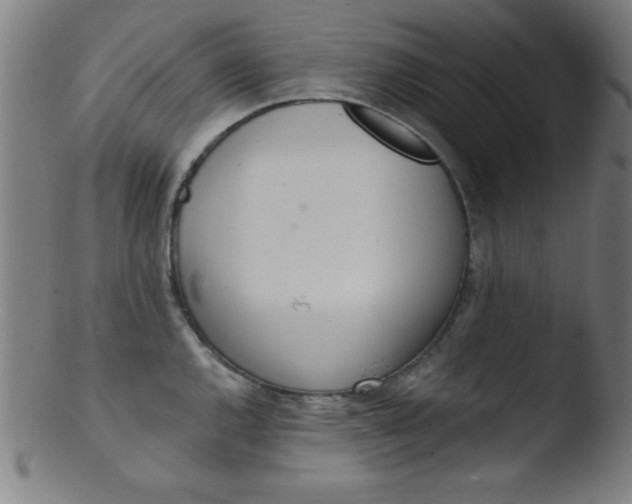 X0000103471144200809261858