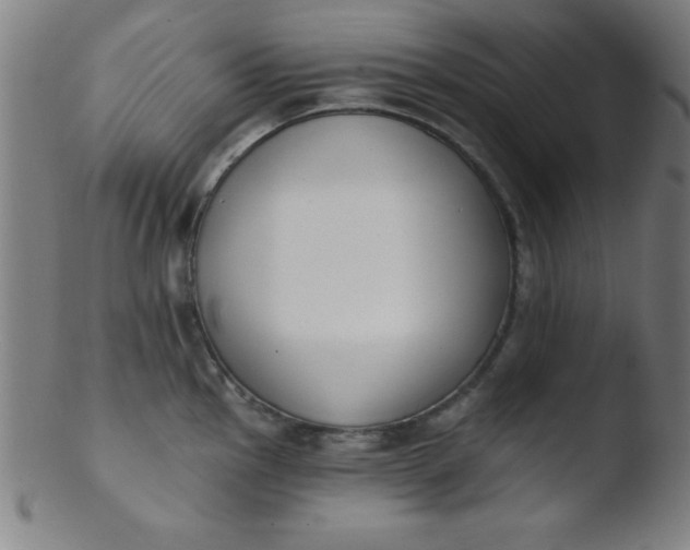 X0000103471145200809261858