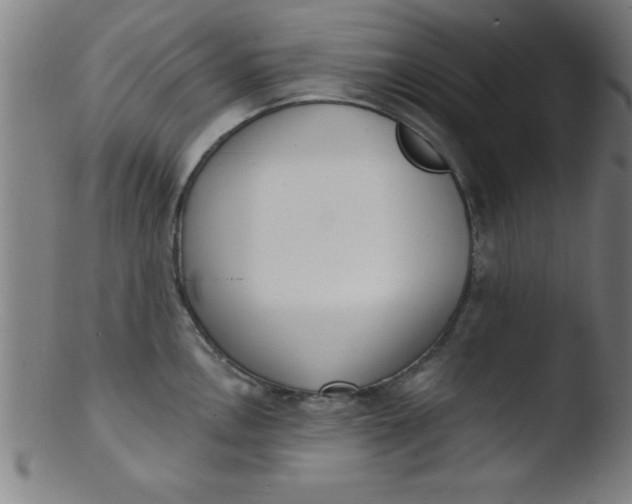 X0000103471146200809261858