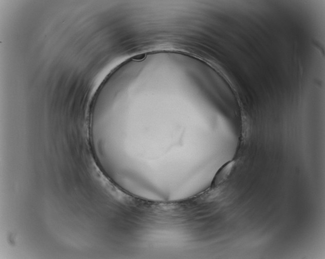 X0000103471148200809261858