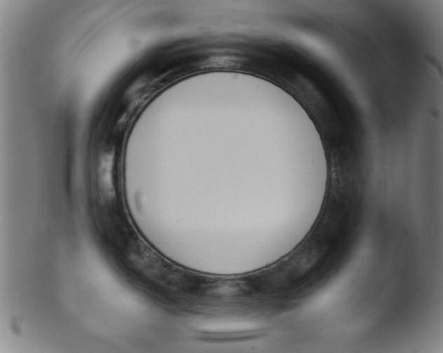 X0000103471150200809261858