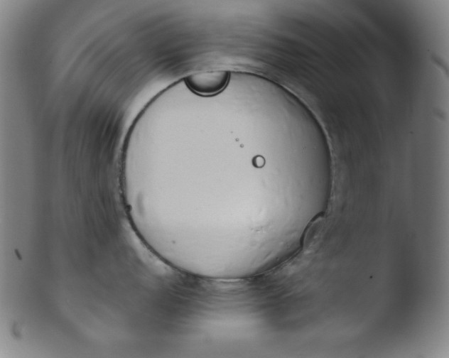 X0000103471152200809261858