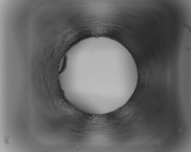 X0000103471153200809261858