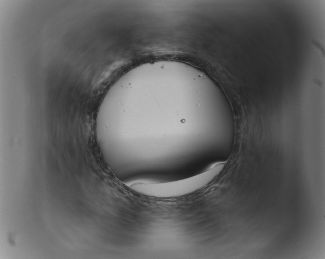 X0000103471157200809261858