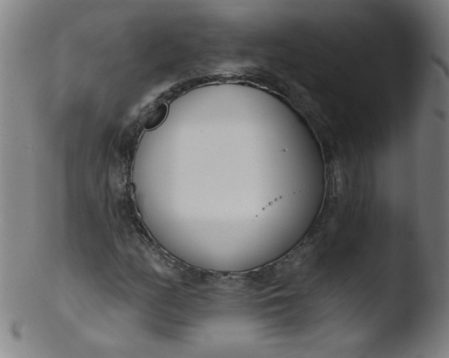 X0000103471158200809261858