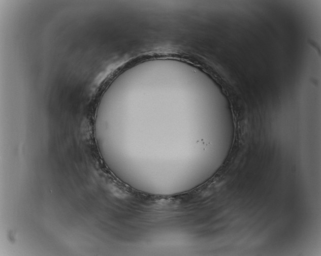 X0000103471160200809261858