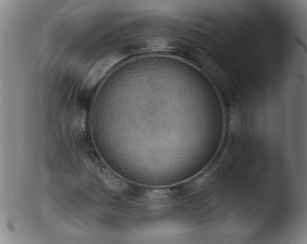 X0000103471161200809261858