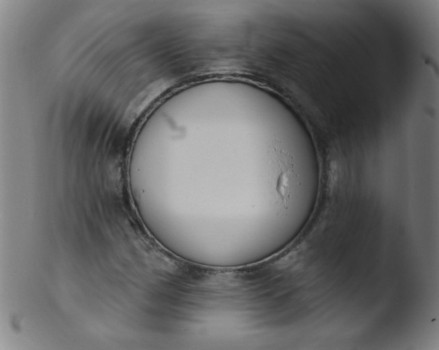 X0000103471162200809261857