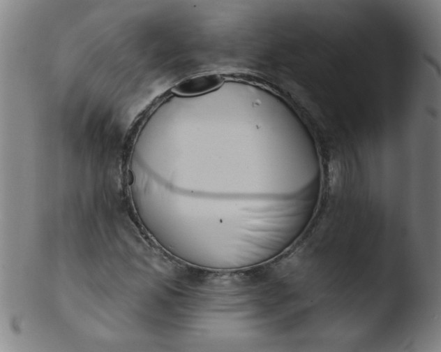 X0000103471165200809261857