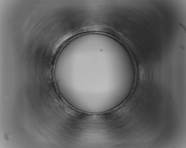 X0000103471166200809261857