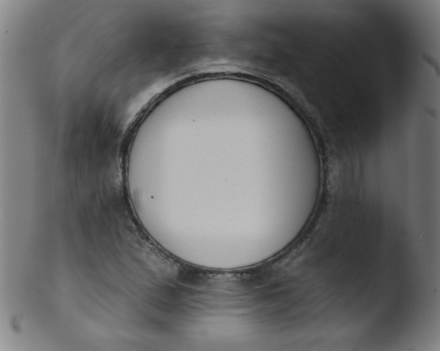 X0000103471167200809261857