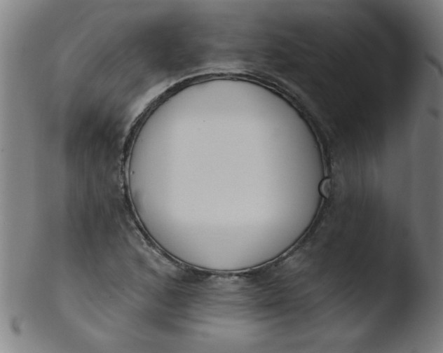 X0000103471168200809261857