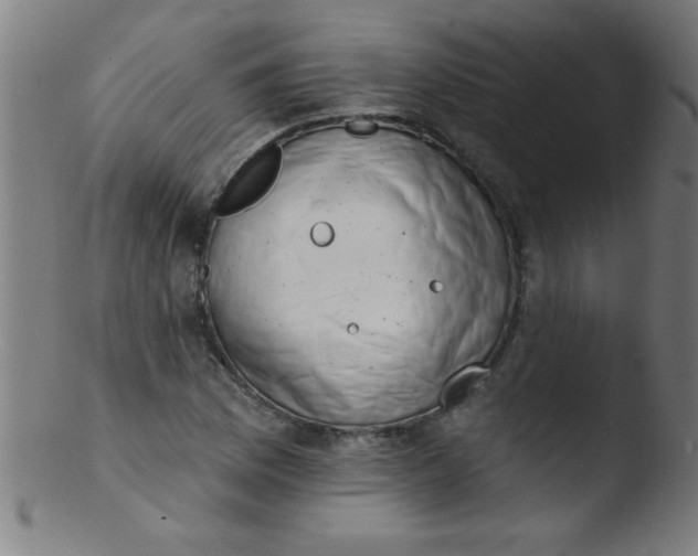 X0000103471169200809261857