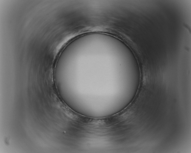 X0000103471174200809261857