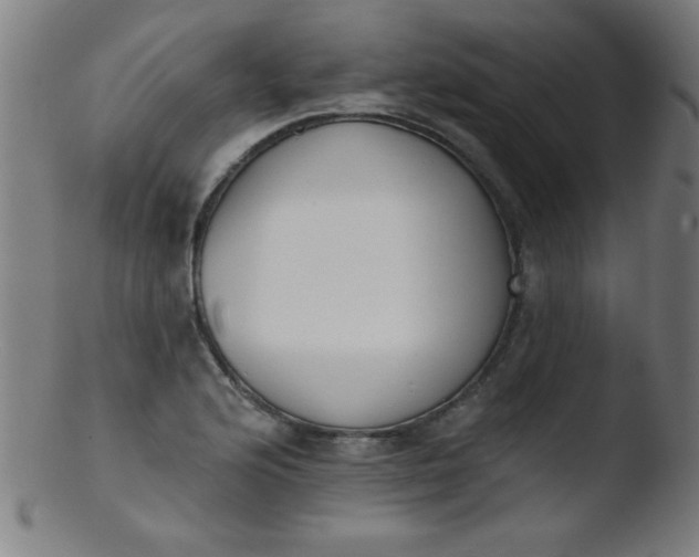 X0000103471176200809261857