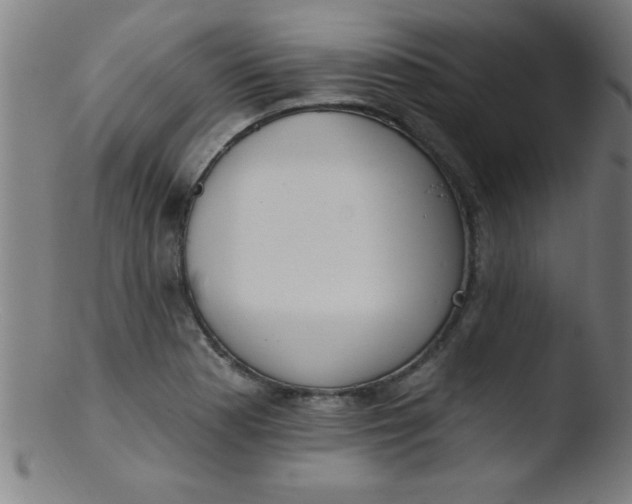 X0000103471177200809261857