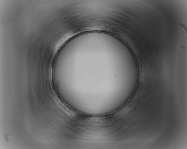 X0000103471179200809261857