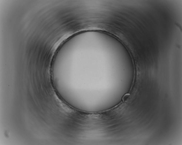 X0000103471181200809261857