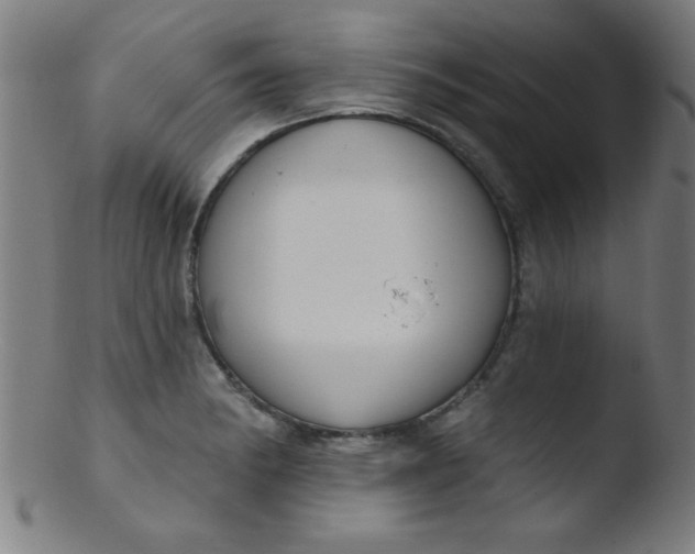 X0000103471182200809261857