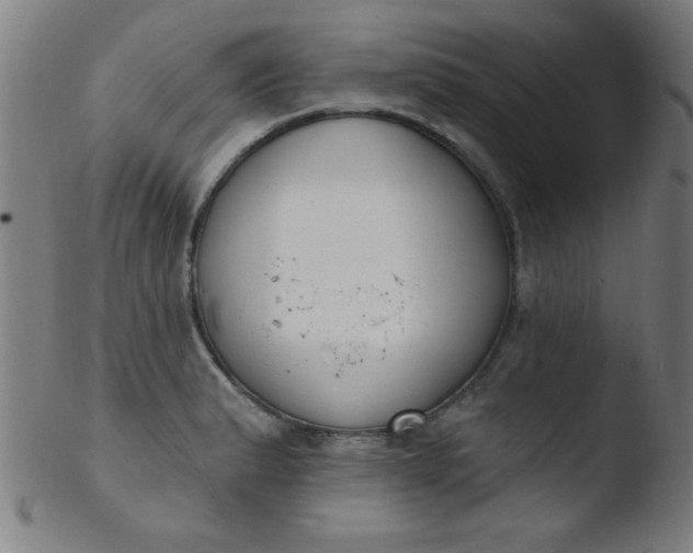 X0000103471183200809261857