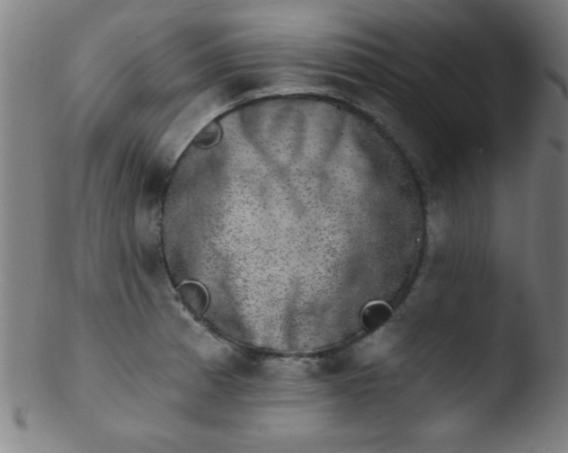 X0000103471185200809261857