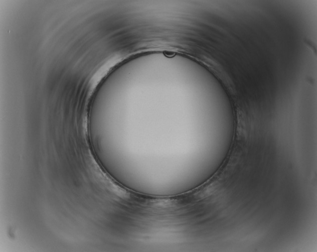 X0000103471188200809261857