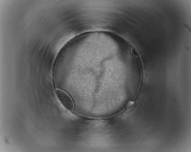 X0000103471189200809261857