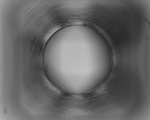 X0000103471194200809261857