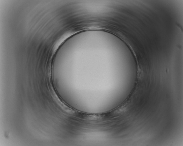 X0000103471195200809261857