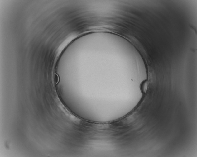 X0000103471196200809261857