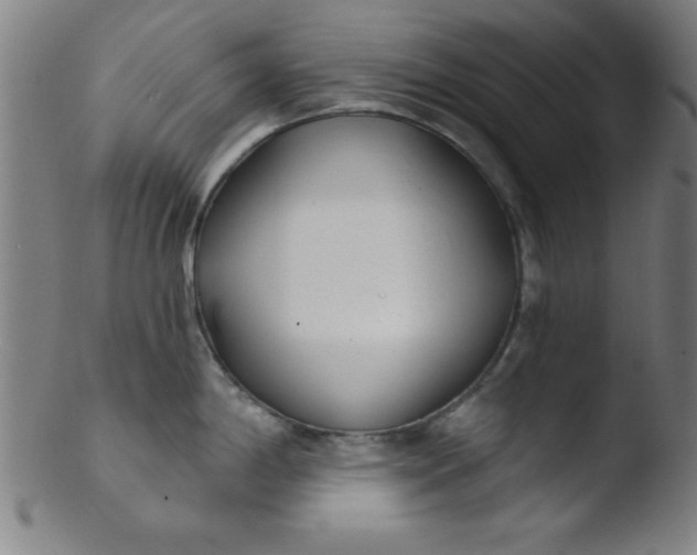 X0000103471198200809261857