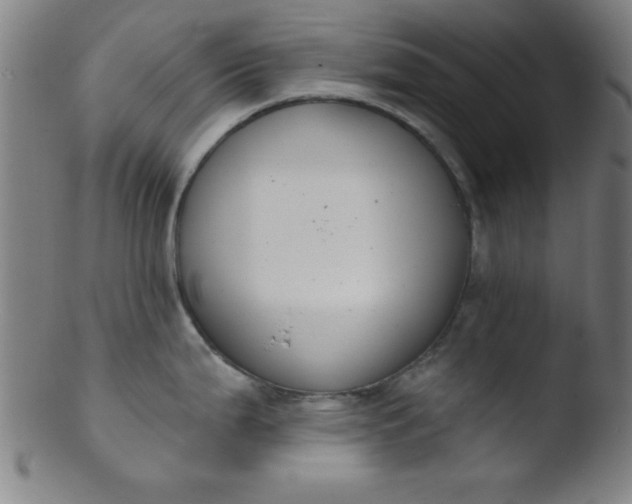 X0000103471199200809261857