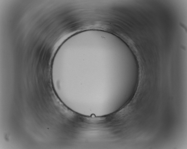 X0000103471200200809261857