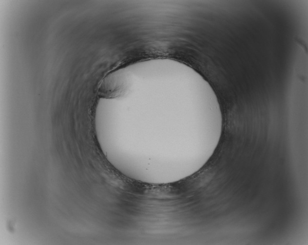 X0000103471201200809261856