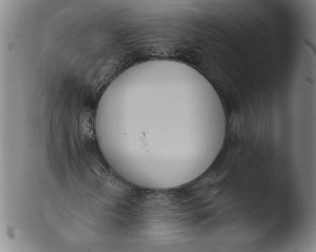 X0000103471202200809261856