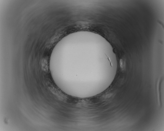 X0000103471203200809261856