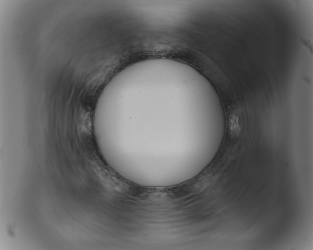 X0000103471204200809261856