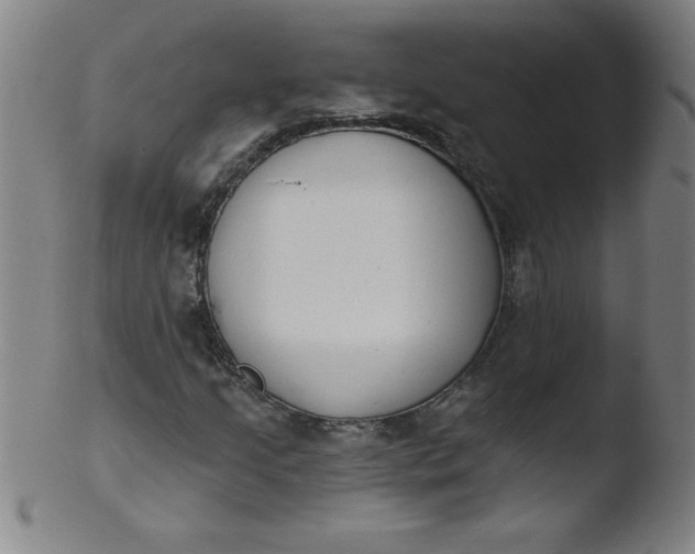 X0000103471205200809261856