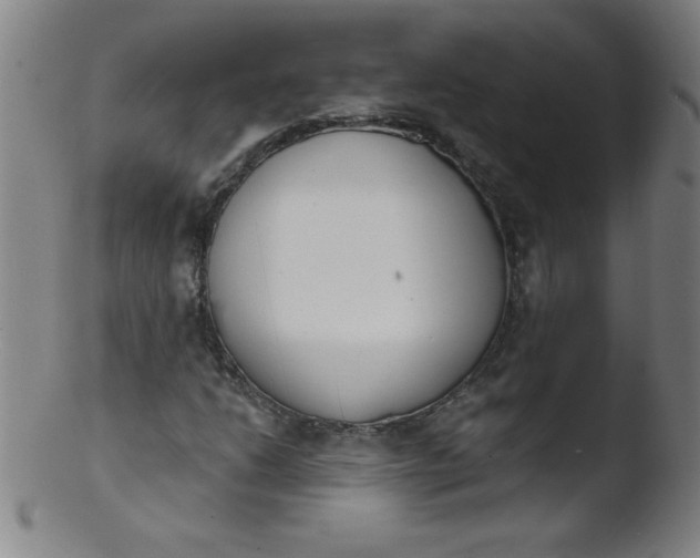 X0000103471206200809261856