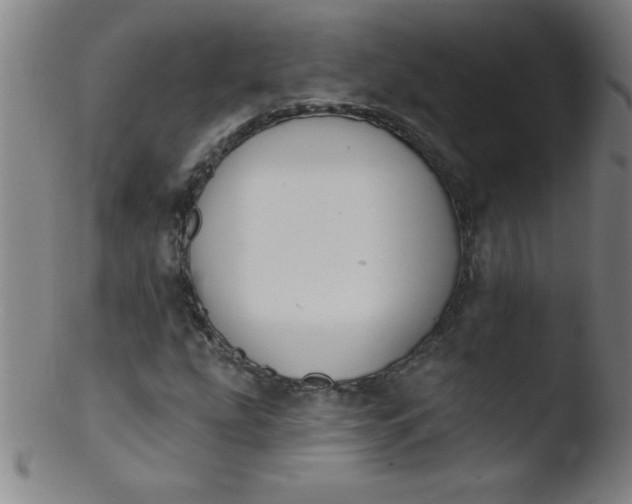 X0000103471207200809261856