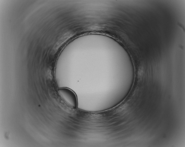 X0000103471209200809261856